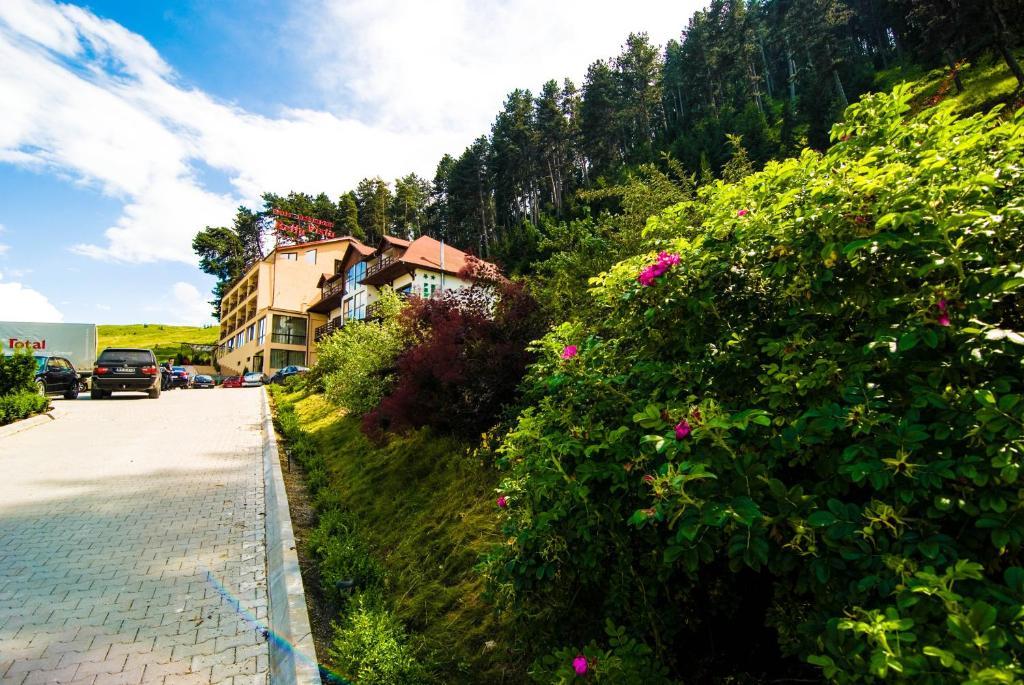 Bellavista Brasov Otel Săcele Oda fotoğraf